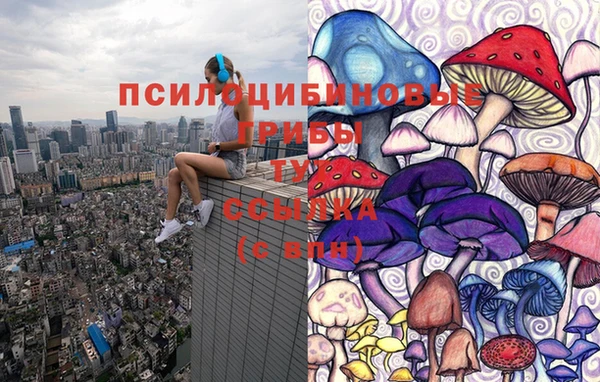 шишки Армянск