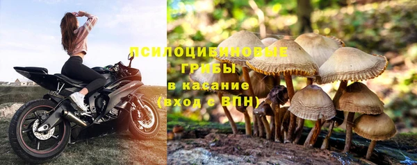 шишки Армянск