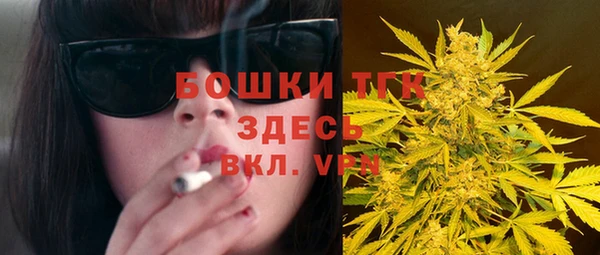 шишки Армянск